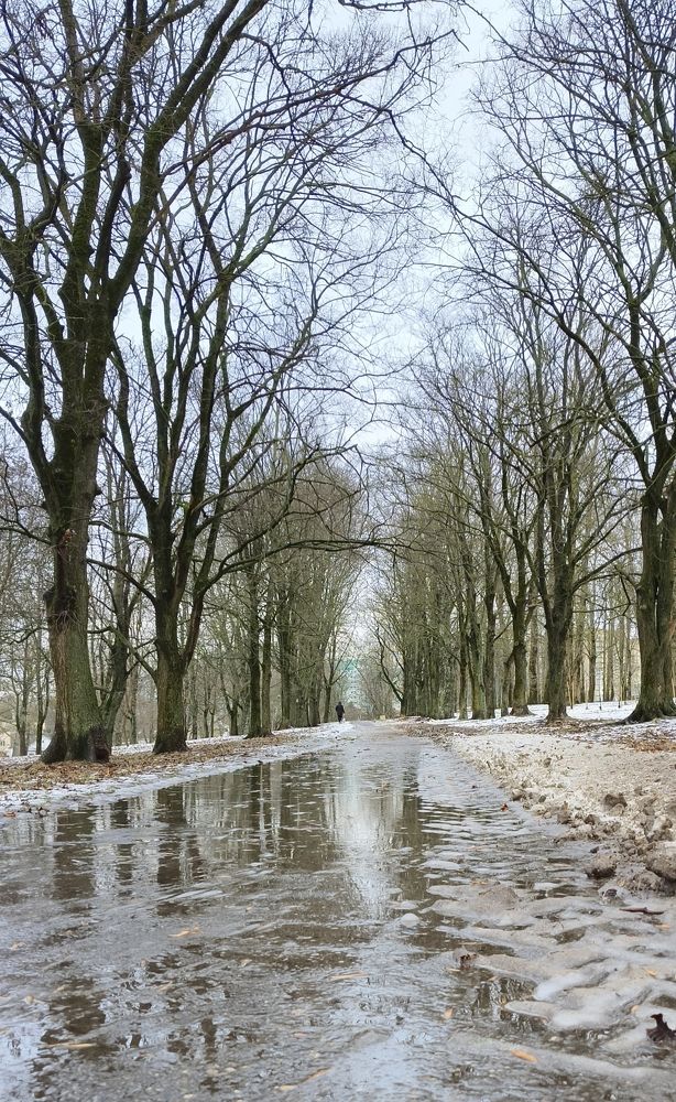 Photograph by Halina Basyanok