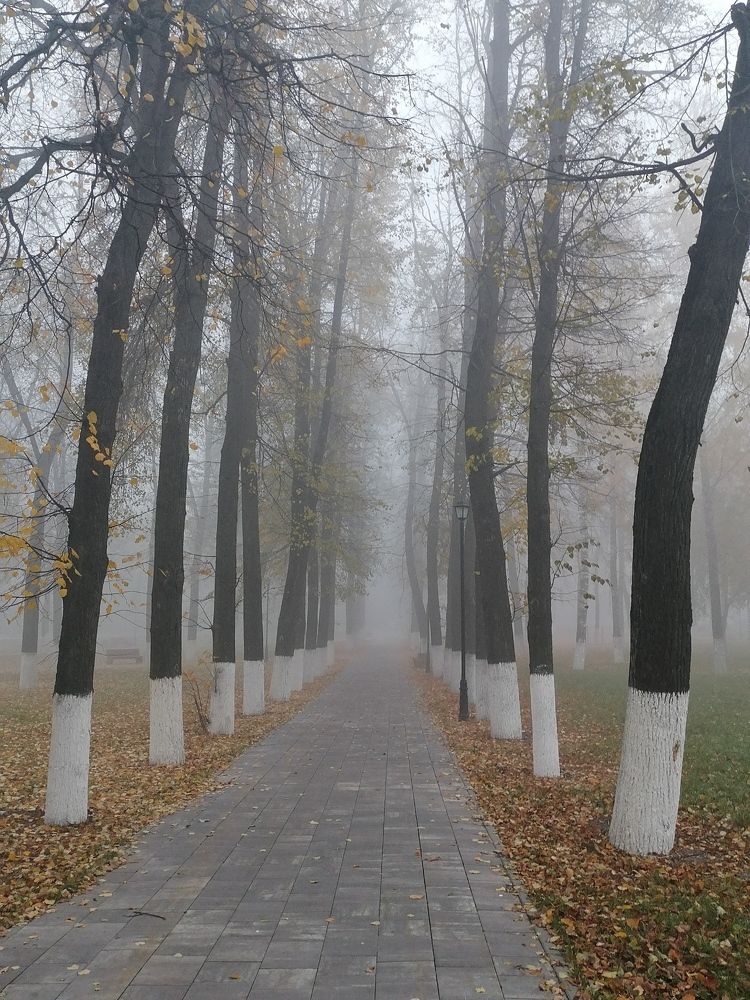 Photograph by Татьяна