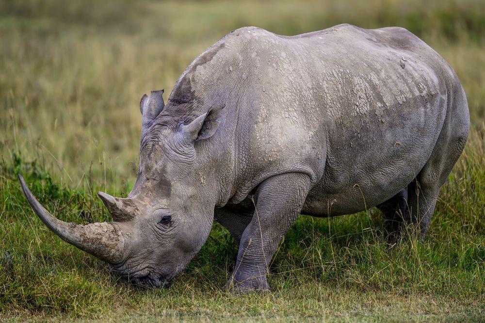 Photograph by Пупонин Сергей