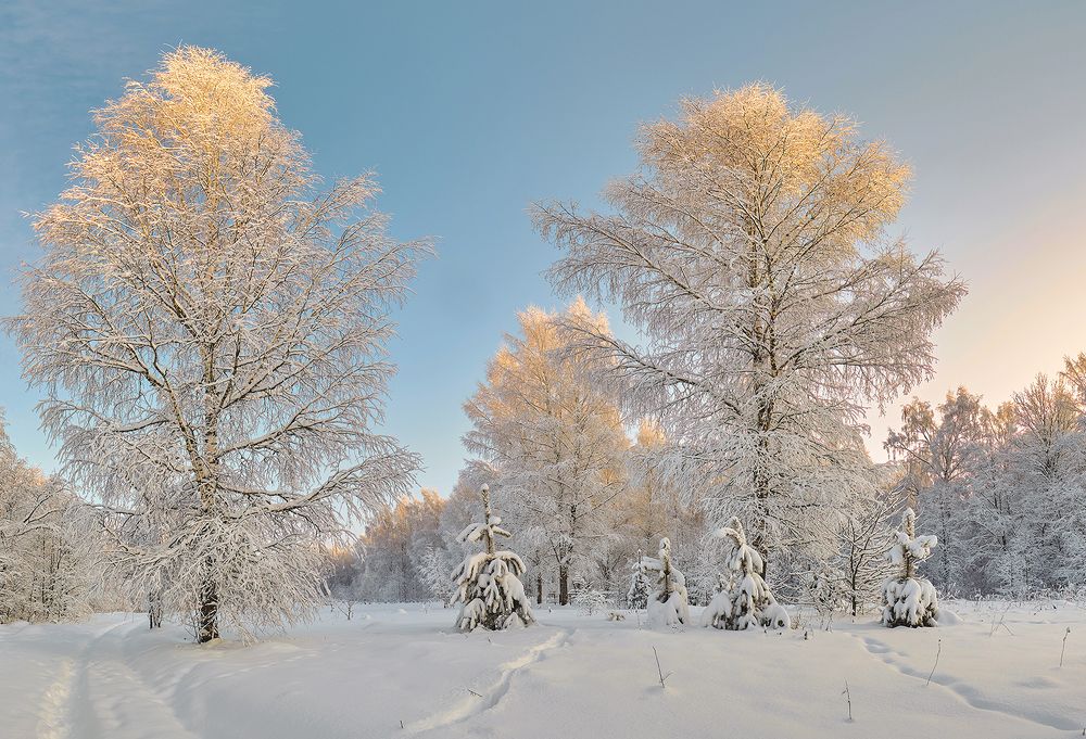 Photograph by Юрий Спасенников