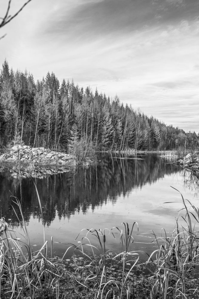 Photograph by Михаил Мархинин