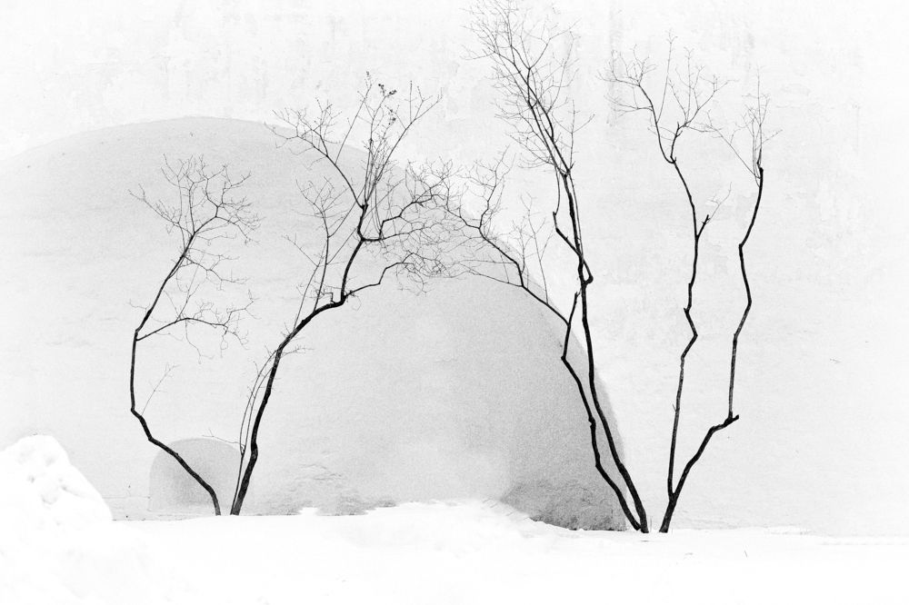 Черно-белый этюд