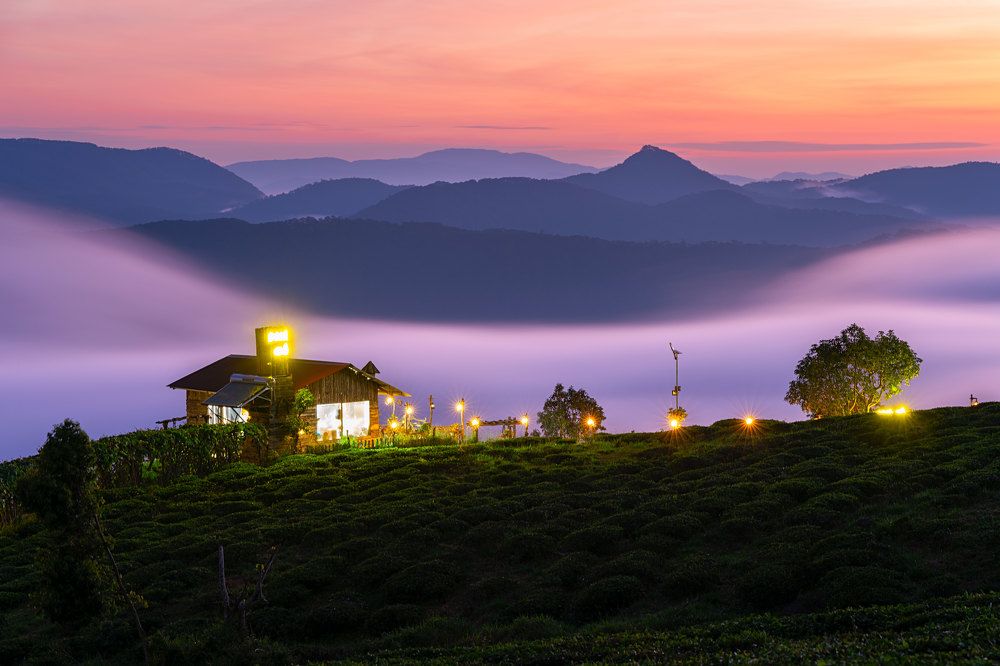 Photograph by Long Quan Lai tran