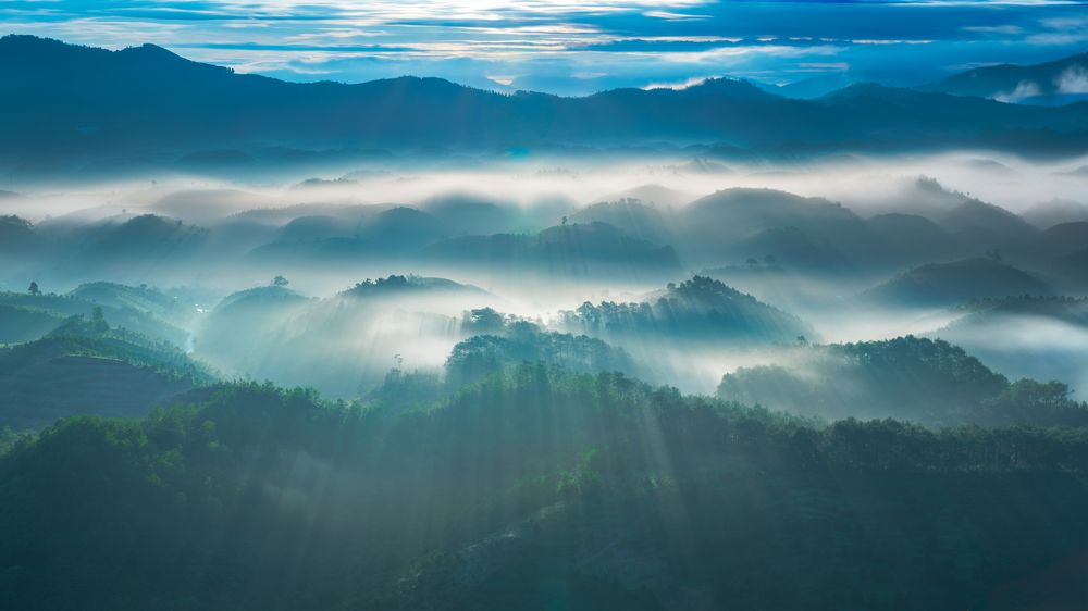 Фотография автора Long Quan Lai tran