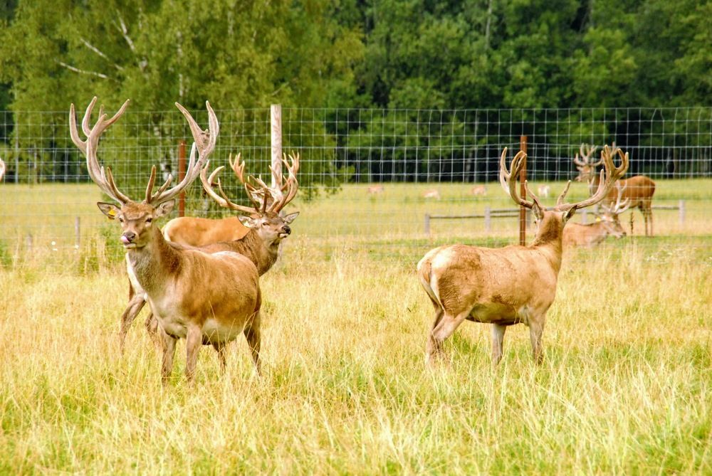 Photograph by Igors Rostikovs