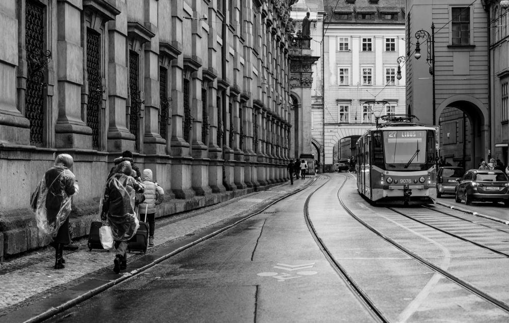 Photograph by Luis Francisco Bravo Olazabal