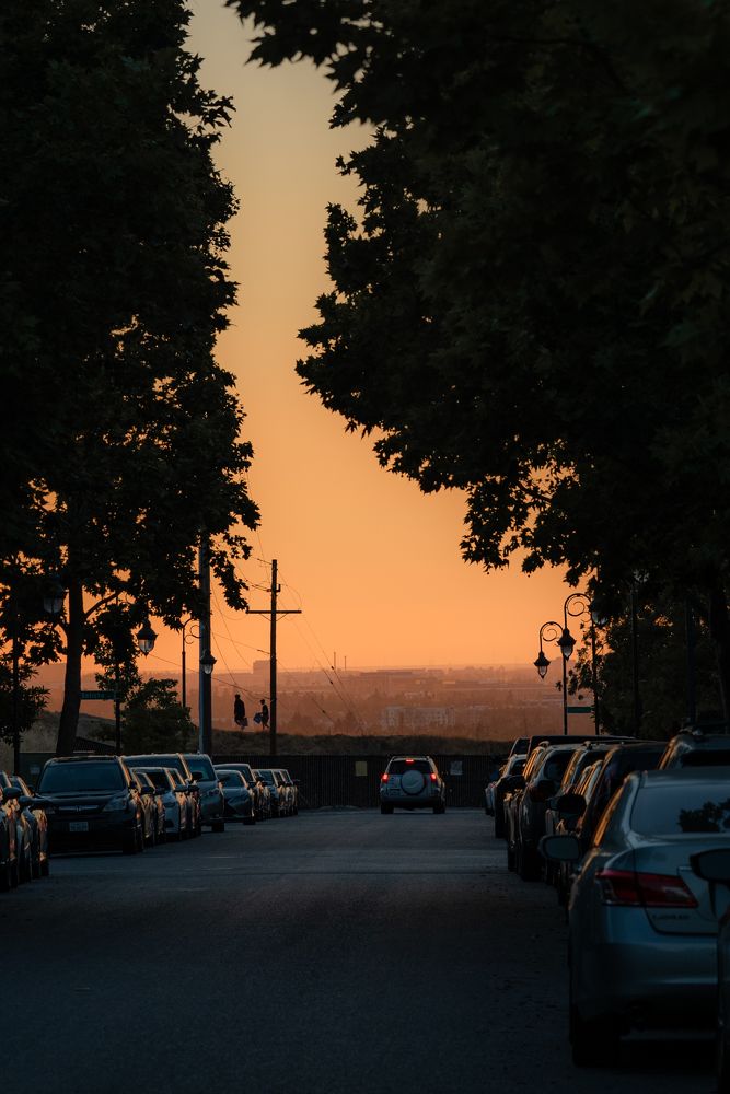 Photograph by Anna Vlasova