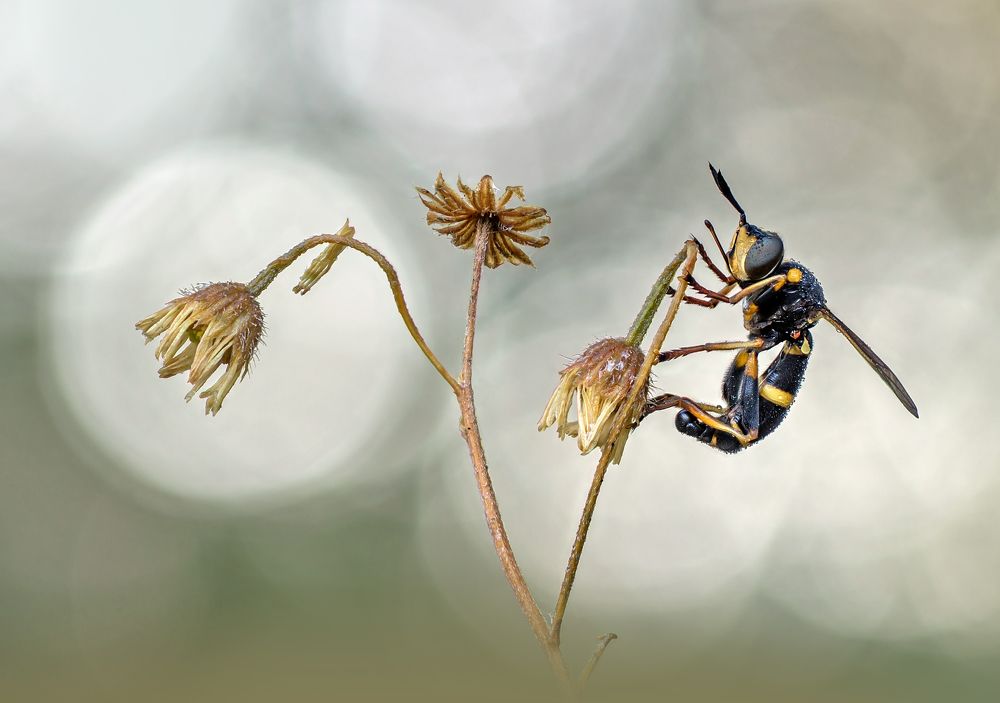 Photograph by Чепленко Алексей