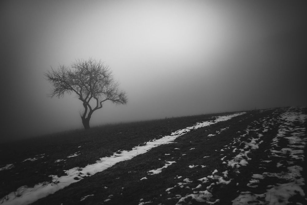 Фотография автора Tomas Kozel