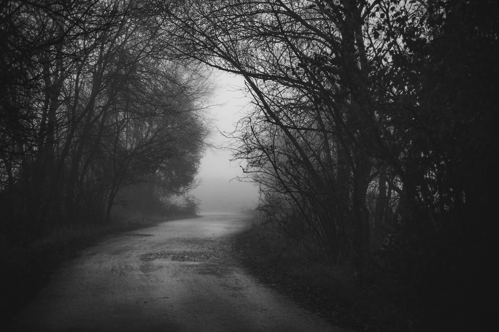 Фотография автора Tomas Kozel