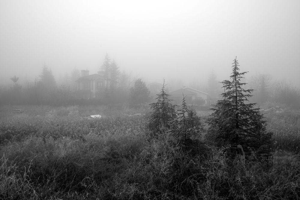 Photograph by Nesrin Ates