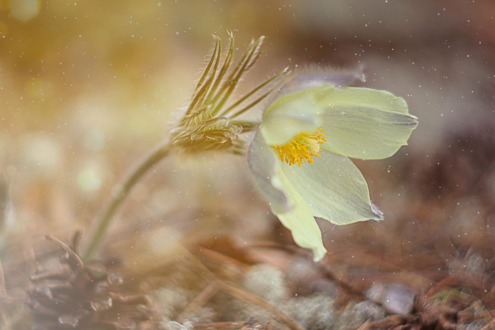 Photograph by Елена Разина