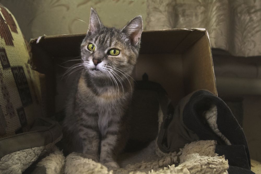 Зима - время коробки