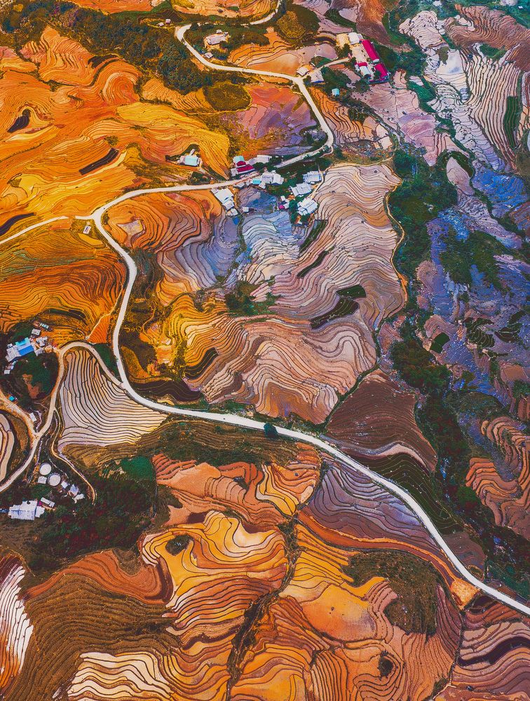 Photograph by Tran Phuong