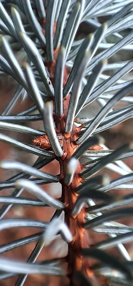 Photograph by Полина