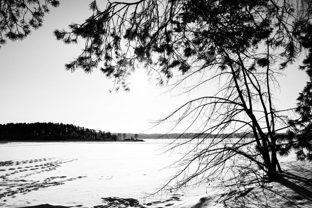 Photograph by Артём Воронин