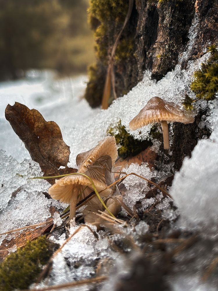 Photograph by Mary Ryzhenkova