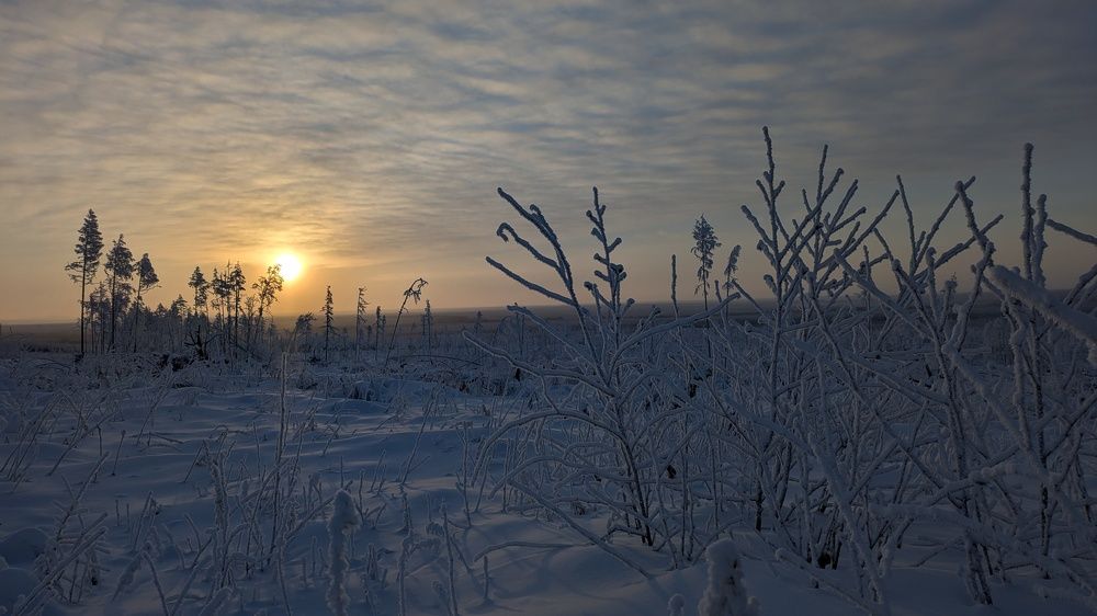 Photograph by Женя Евсеева