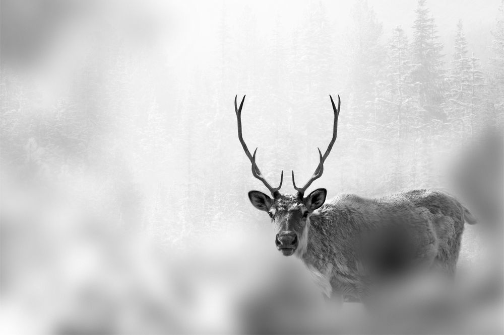 Photograph by Варвара Штерн