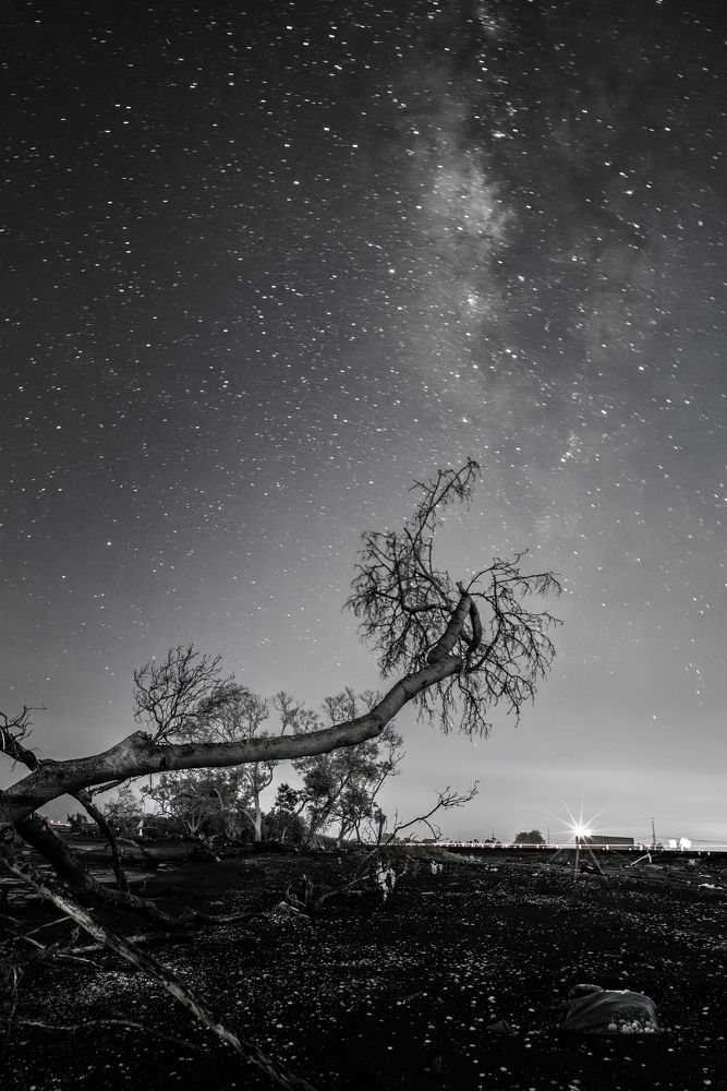 Photograph by Long Quan Lai tran