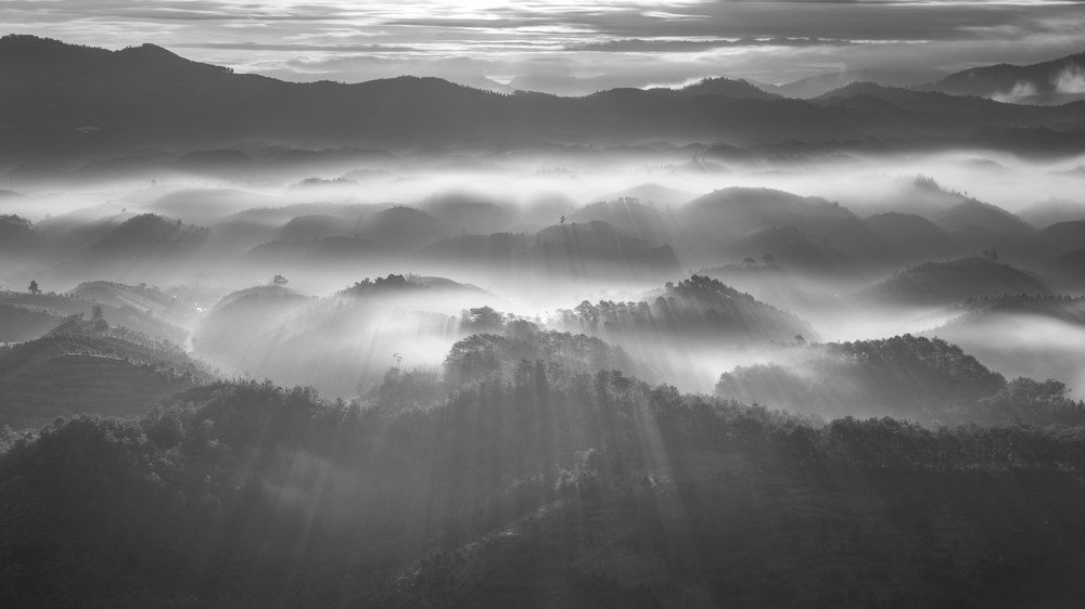 Photograph by Long Quan Lai tran