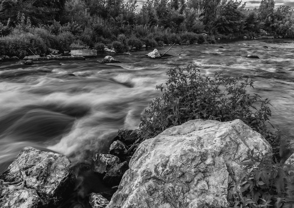 Фотография автора Васильев Игорь