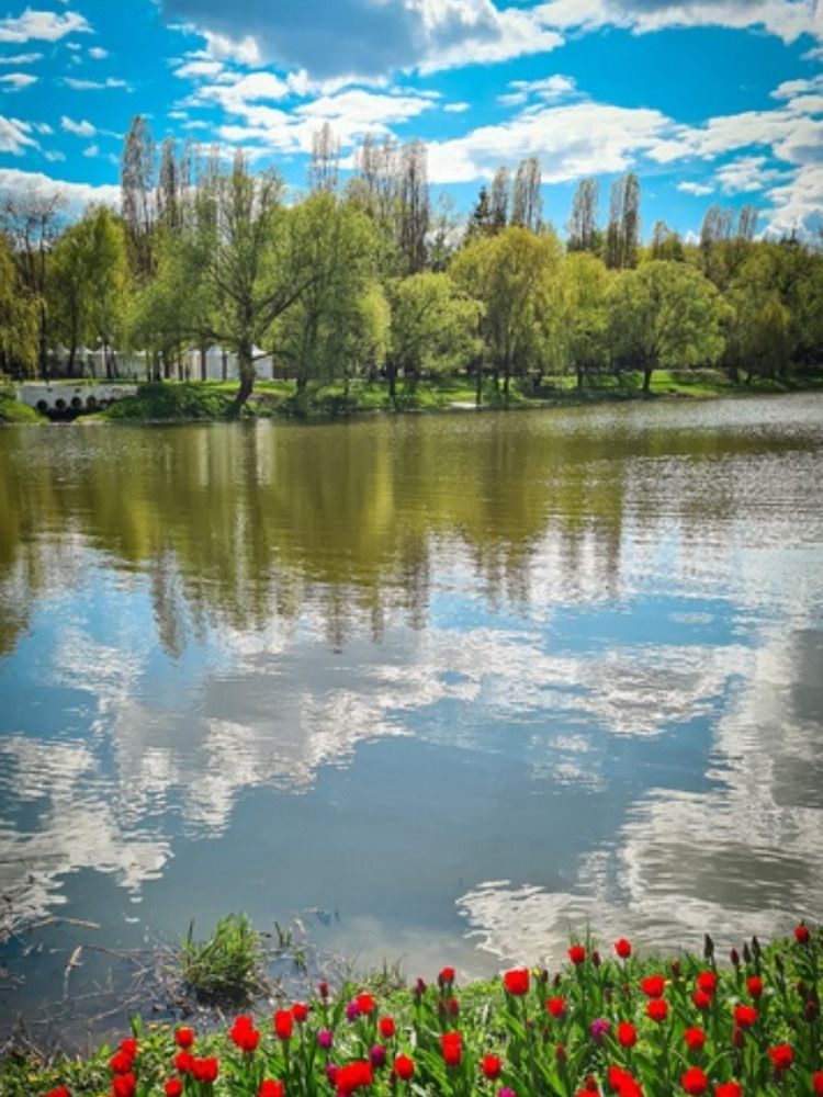 Photograph by Елена Гунько