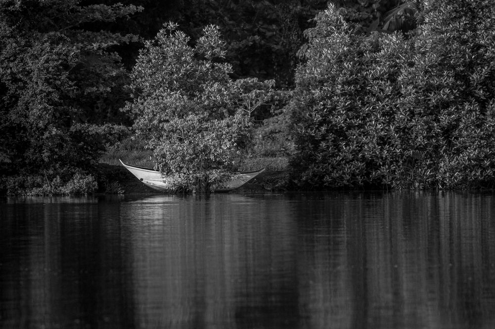 Photograph by Chamara Sulakkhana Polwatta Siriyalage