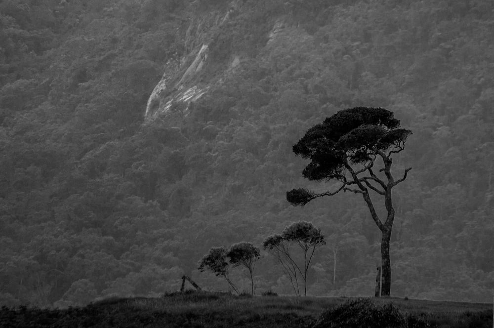 Photograph by Chamara Sulakkhana Polwatta Siriyalage