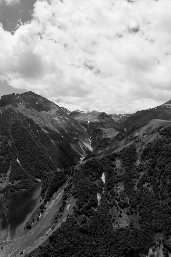 Фотография автора Алиса