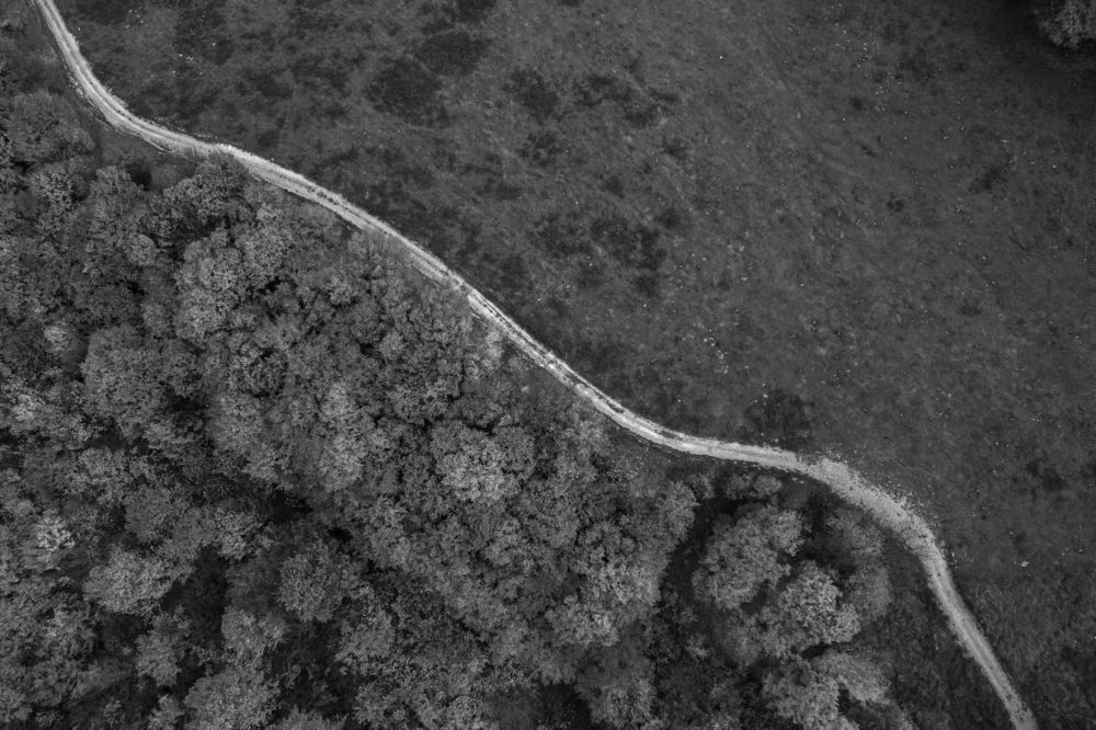 Photograph by George Alexandru Ghiuro