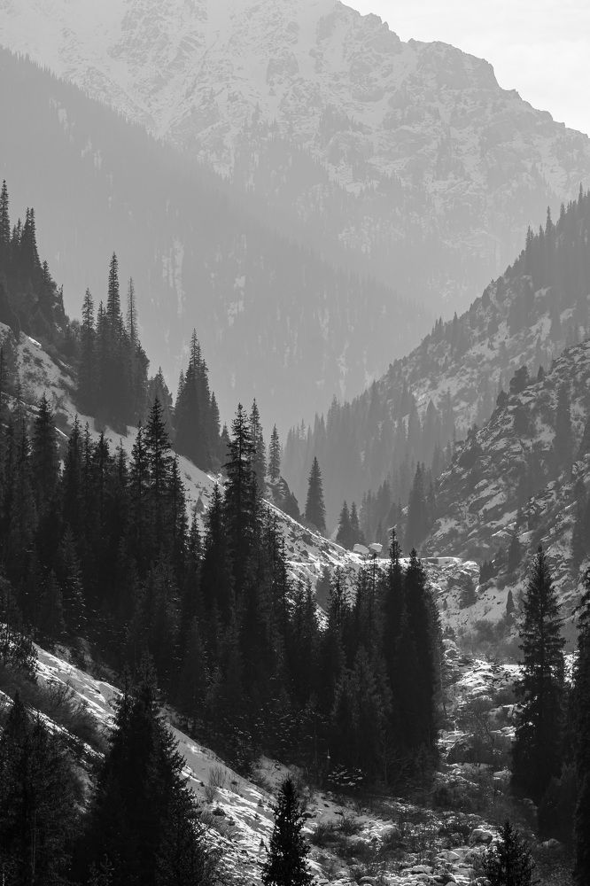 Photograph by Василий Шумкин