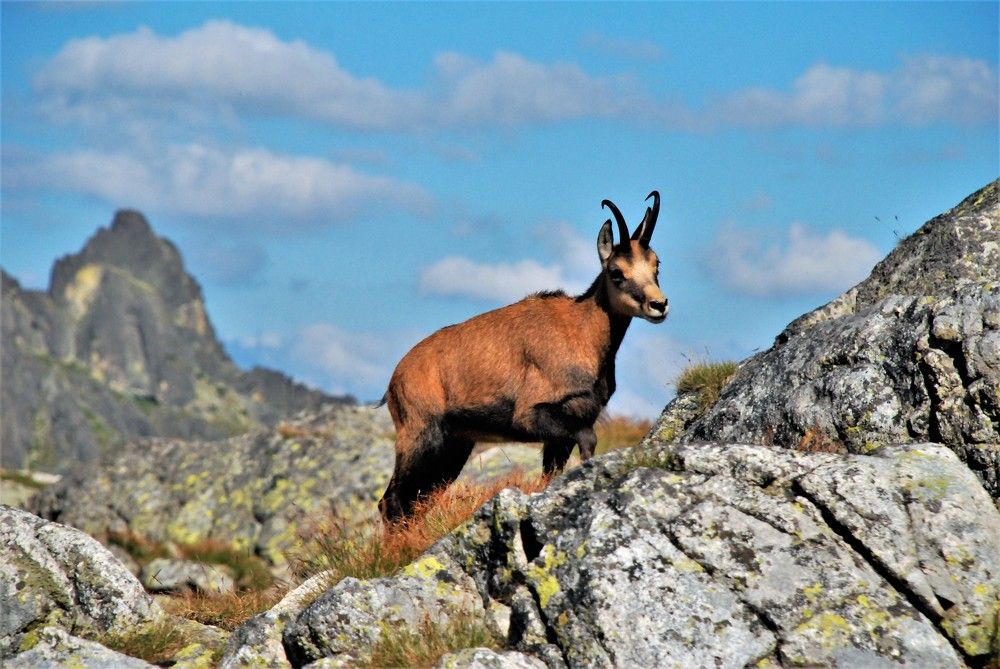 Фотография автора Linards Onzuls