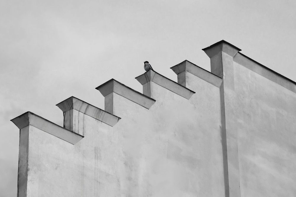 Photograph by Nazanin Valeh Shiva