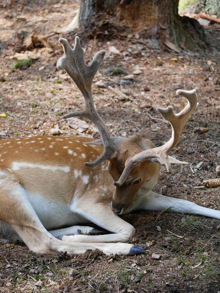 Photograph by Владимир Лобанов