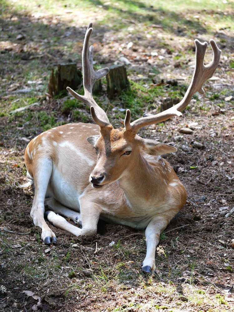 Photograph by Владимир Лобанов