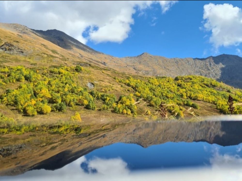 Photograph by Елена Гунько