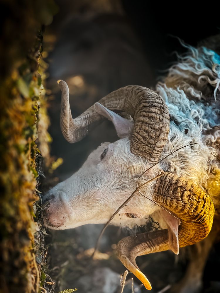 Photograph by anna bobo