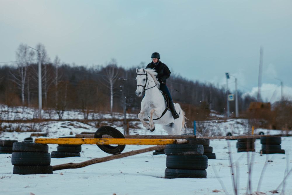 Фотография автора Алина Руденко