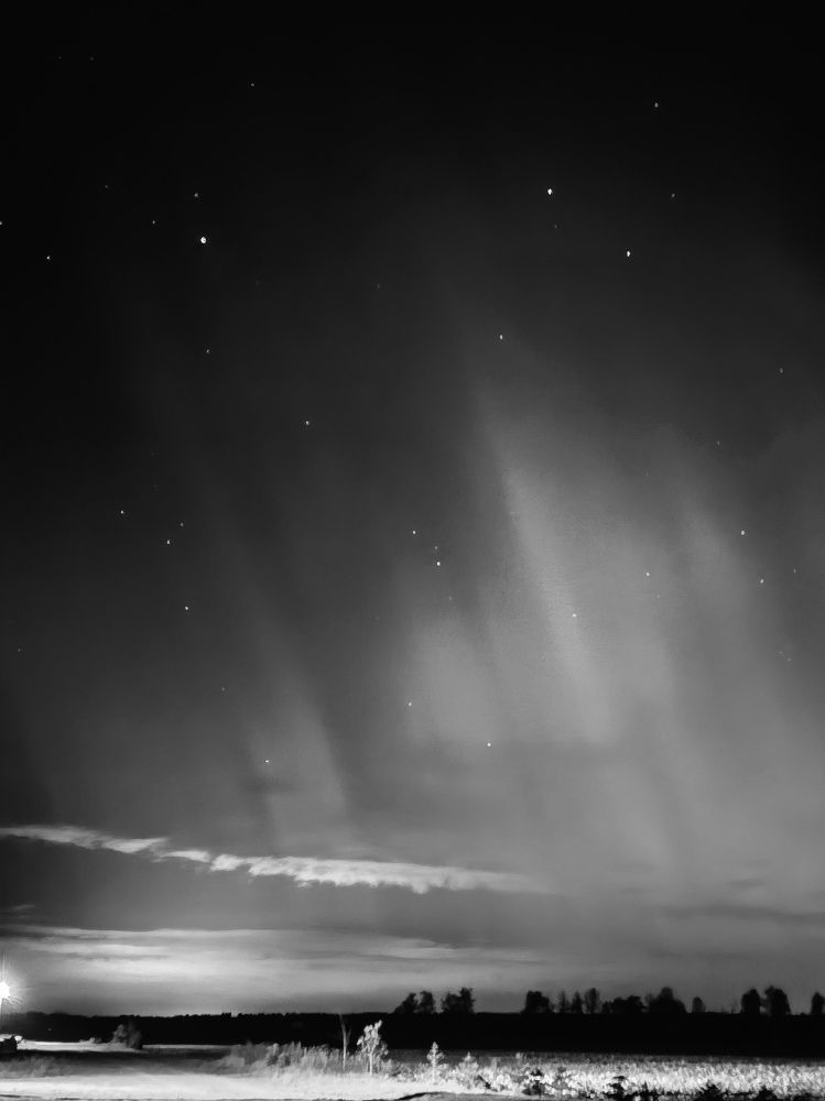 Photograph by Алеся Садченко
