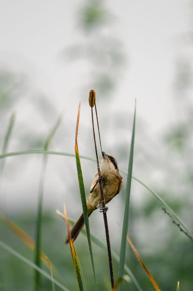 Photograph by Avkash Chevli