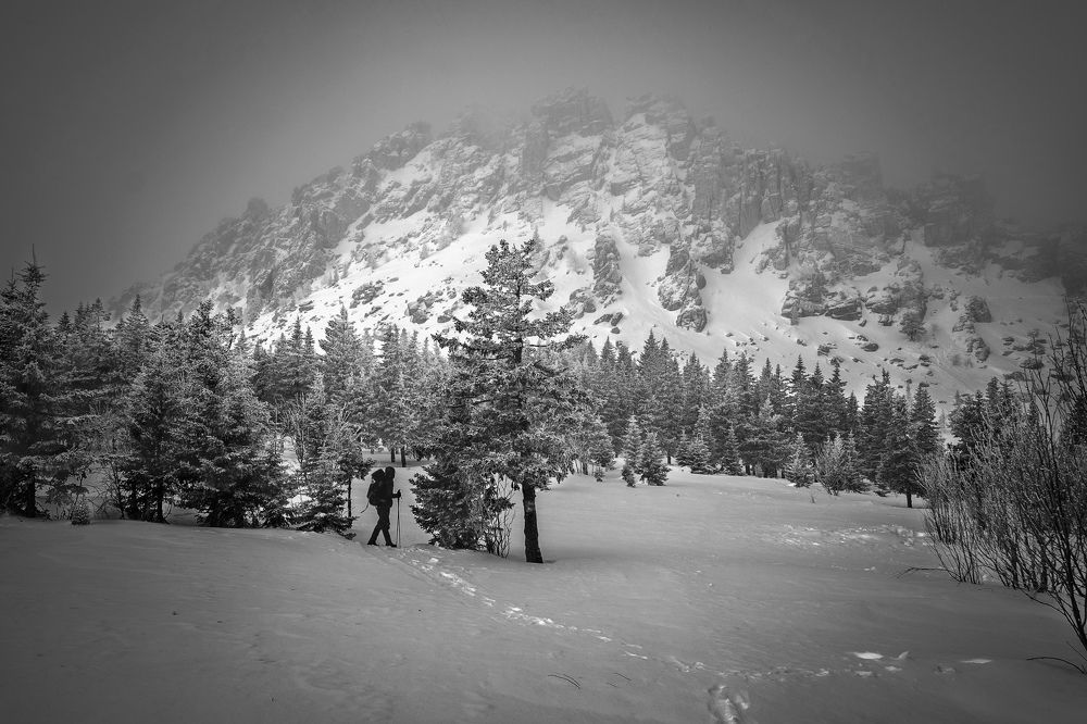 Вперед и выше