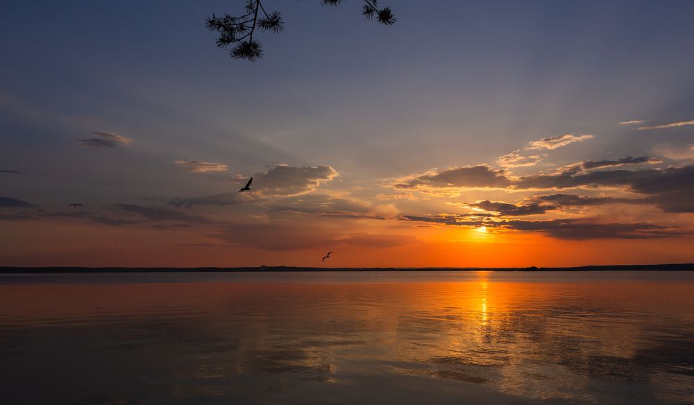 Photograph by Диана Бородзе