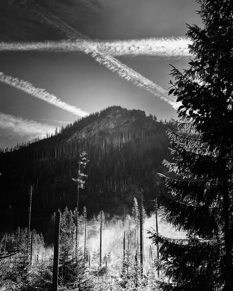 Фотография автора Светлана Герасимук