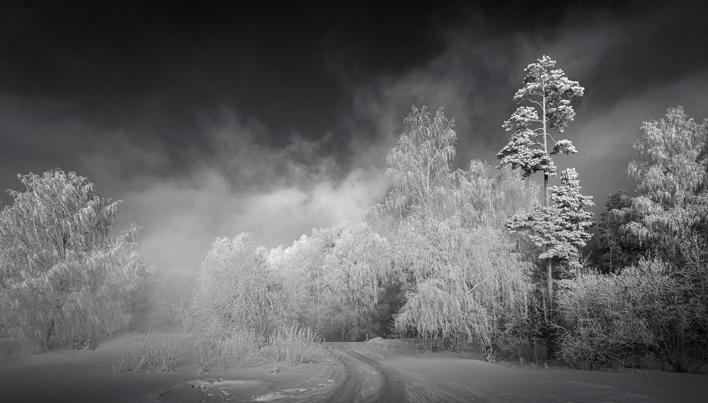 Photograph by Александр Рудный