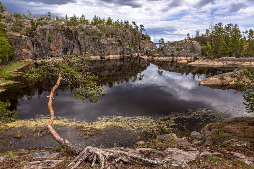 Photograph by Диана Бородзе