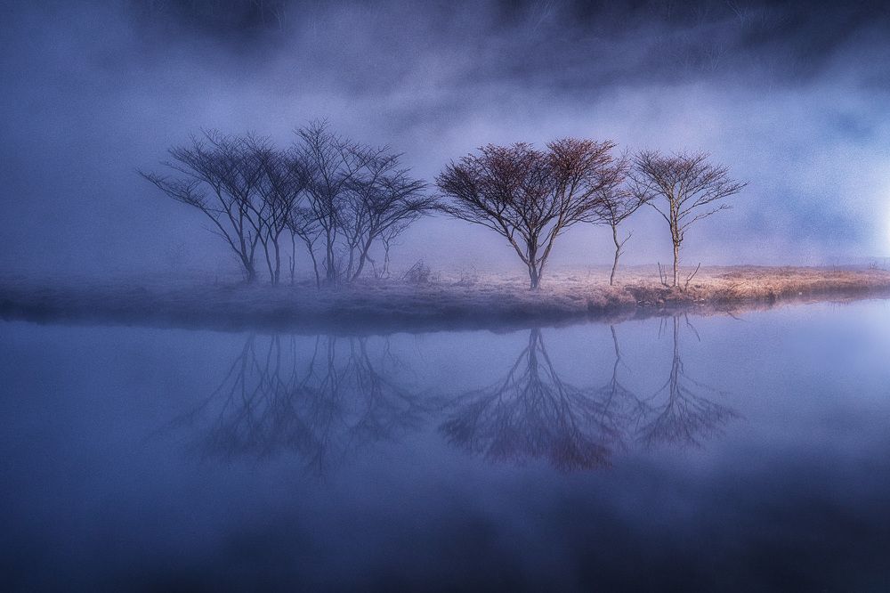 Photograph by Daiyu Moko