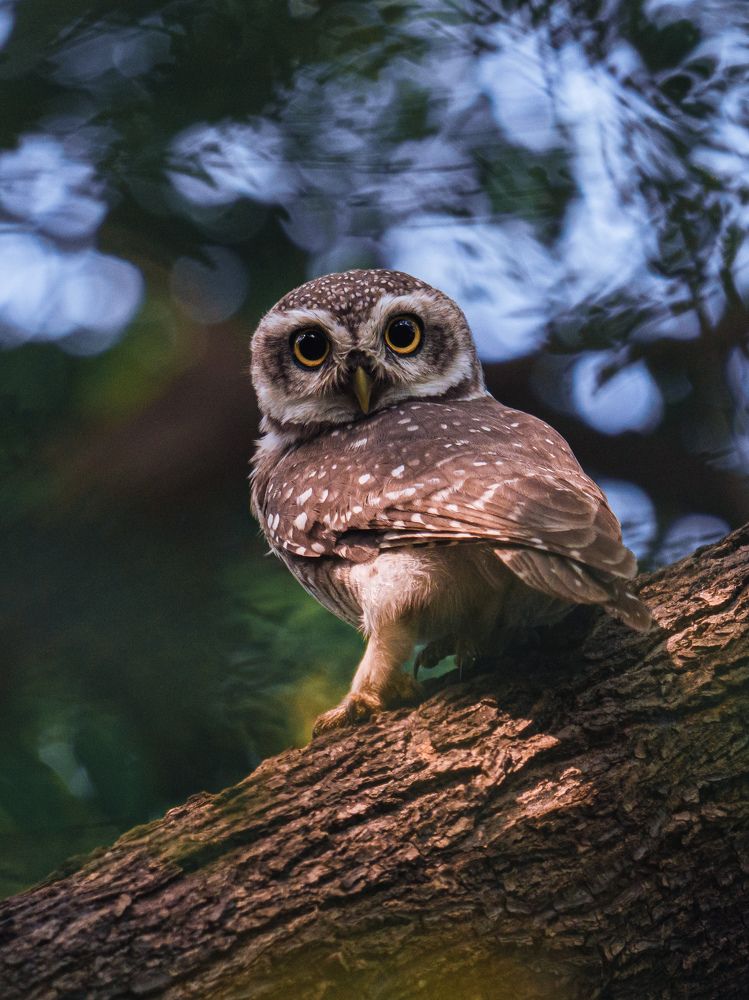 Photograph by Avkash Chevli