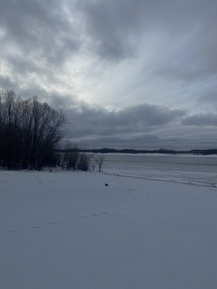 Photograph by Елена Мусина