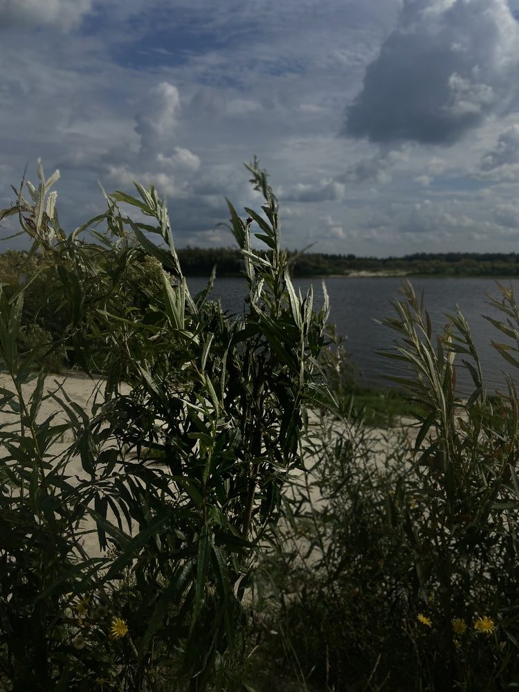 Photograph by Елена Мусина